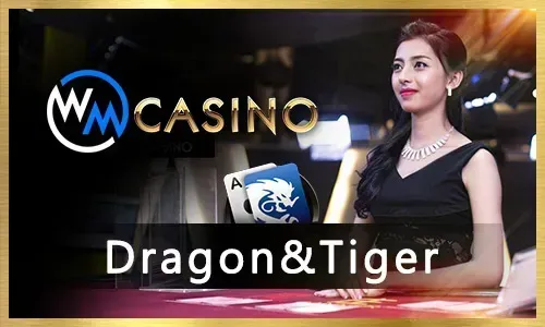 Sports Betting Arena
